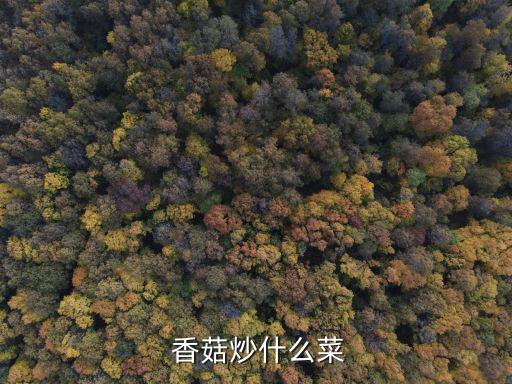 香菇炒什么菜