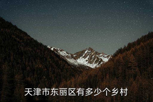 天津市東麗區袁莊村，天津市東麗區有多少個鄉村
