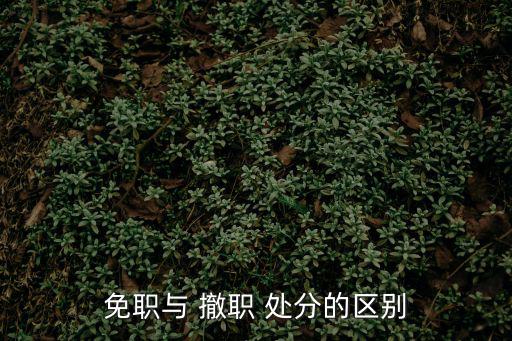 免職與 撤職 處分的區別