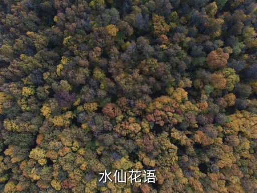 水仙花的花語，水仙花的花語
