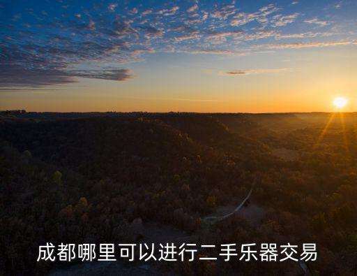 成都哪里可以進行二手樂器交易