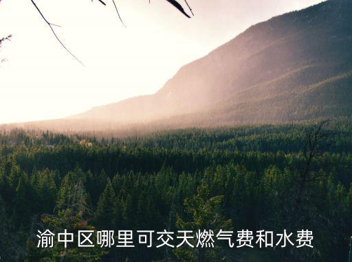 渝中區(qū)哪里可交天燃?xì)赓M(fèi)和水費(fèi)