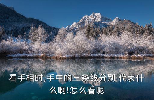 看手相時,手中的三條線分別 代表什么啊!怎么看呢