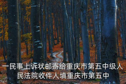 一民事上訴狀郵寄給重慶市第五中級(jí)人民法院收件人填重慶市第五中