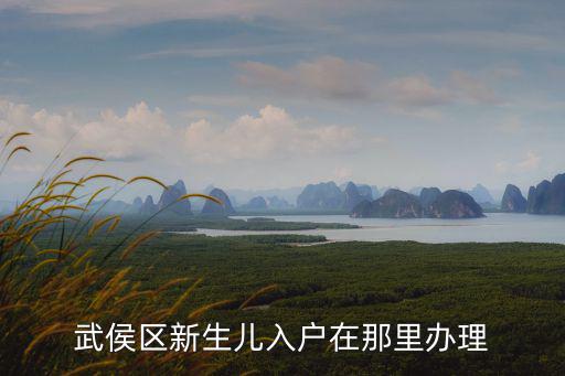 成都市新生兒入戶申在哪辦理，成都新生兒戶口辦理流程和電話查詢有哪些
