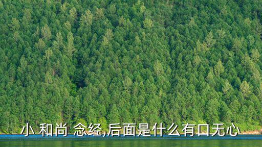 小 和尚 念經(jīng),后面是什么有口無心