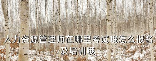 人力資源管理師在哪里考試哦怎么報(bào)名及培訓(xùn)哦