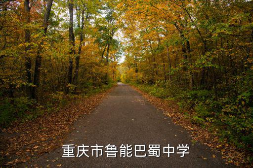 重慶市魯能巴蜀中學