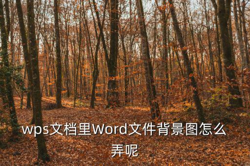 wps文檔里Word文件背景圖怎么弄呢