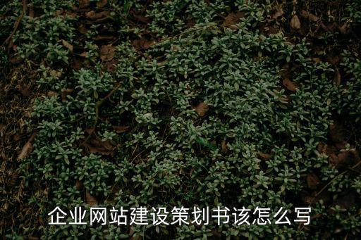 企業網站策劃，企業網站建設策劃書該怎么寫