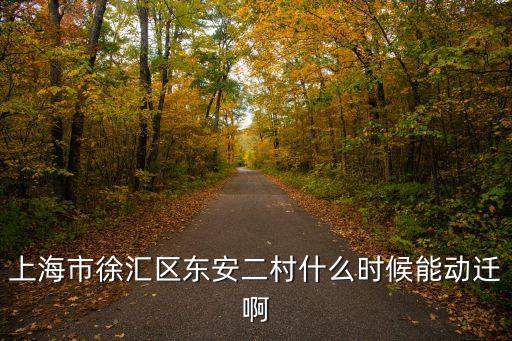 上海市徐匯區(qū)東安二村什么時(shí)候能動(dòng)遷啊