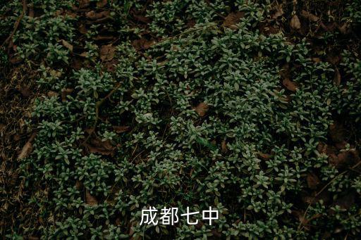 成都市第七中學  聯辦，成都七中育才新校區