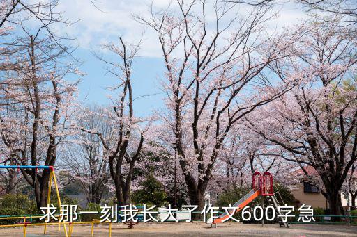 求那一刻我長大了作文600字急