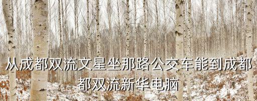 從成都雙流文星坐那路公交車能到成都都雙流新華電腦