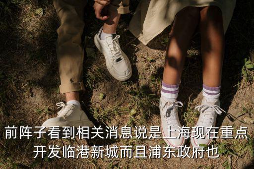 前陣子看到相關消息說是上海現在重點開發臨港新城而且浦東政府也