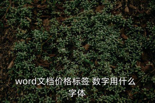 word文檔價格標簽 數(shù)字用什么 字體