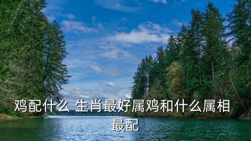 雞配什么 生肖最好屬雞和什么屬相 最配