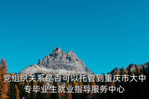 尹軍 重慶市委組織部，黨組織關系是否可以托管到重慶市大中專畢業生就業指導服務中心