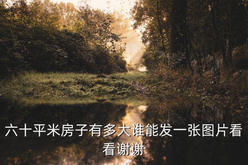 六十平米房子有多大誰能發一張圖片看看謝謝