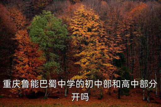 重慶魯能巴蜀中學的初中部和高中部分開嗎