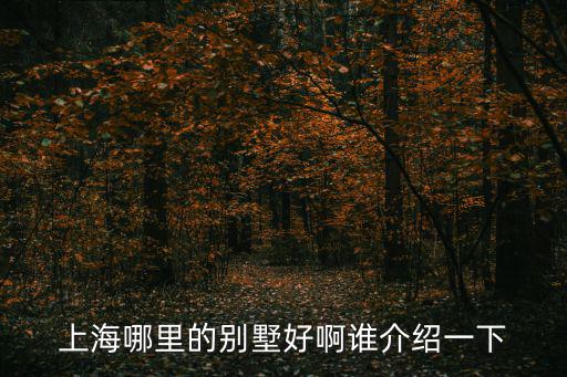 上海哪里的別墅好啊誰介紹一下