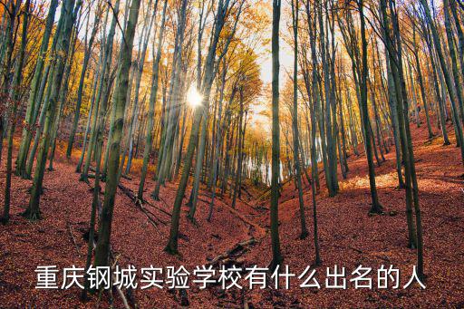 重慶市鋼城實驗中學校草，實驗中學的校草是誰啊
