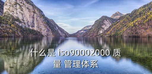 什么是 iso90002000 質量 管理體系