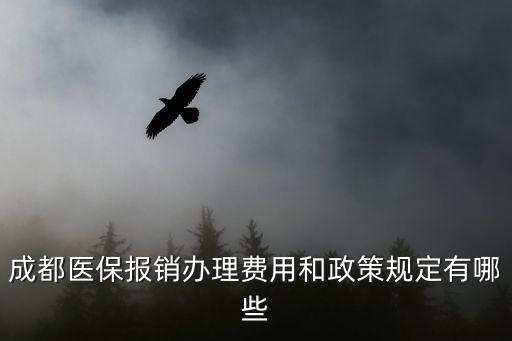 成都醫(yī)保報銷辦理費(fèi)用和政策規(guī)定有哪些