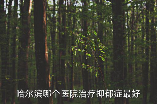 哈爾濱哪個醫院治療抑郁癥最好