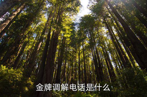 金牌調(diào)解電話是什么