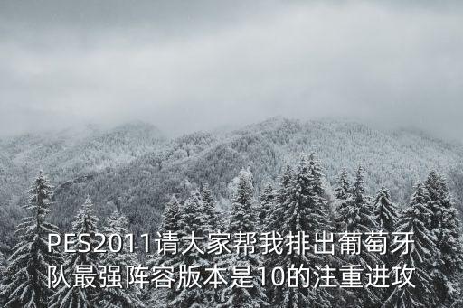 PES2011請大家幫我排出葡萄牙隊最強陣容版本是10的注重進攻