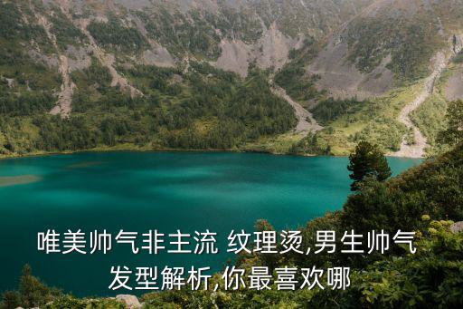 唯美帥氣非主流 紋理燙,男生帥氣 發(fā)型解析,你最喜歡哪