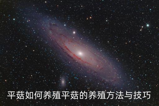 平菇如何養殖平菇的養殖方法與技巧