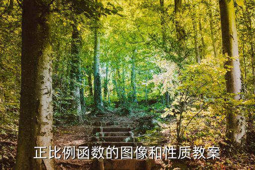 正比例教案，正比例函數(shù)的圖像和性質(zhì)教案