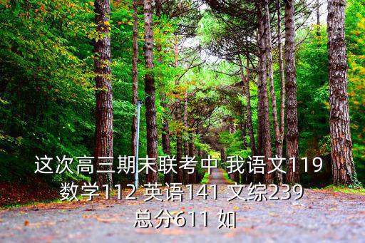 這次高三期末聯考中 我語文119 數學112 英語141 文綜239 總分611 如