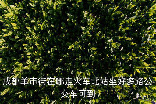 成都羊市街在哪走火車北站坐好多路公交車可到