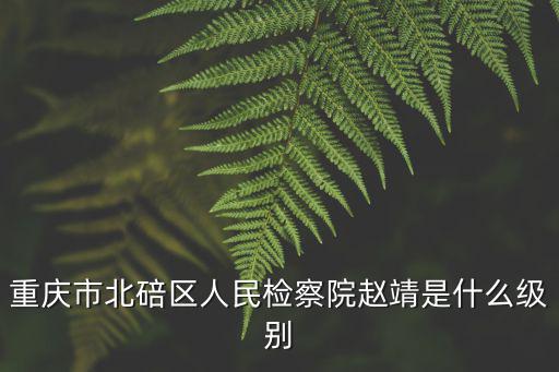 重慶市各區縣檢察長任命情況，重慶檢查院檢查長是誰e