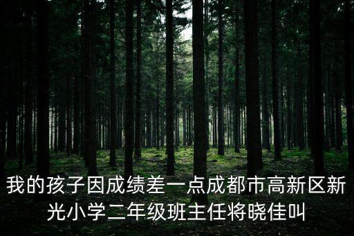 成都市高新區(qū) 譚宏斌老師，黨組織關(guān)系轉(zhuǎn)到成都市高新區(qū)某地聽(tīng)說(shuō)要先在高新組織部開(kāi)介紹信