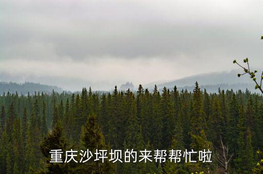 重慶沙坪壩的來幫幫忙啦