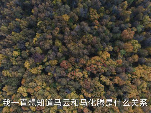 我一直想知道馬云和馬化騰是什么關系