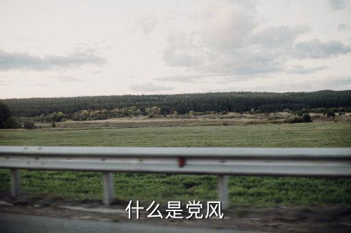 什么是黨風