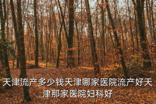 天津流產多少錢天津哪家醫院流產好天津那家醫院婦科好