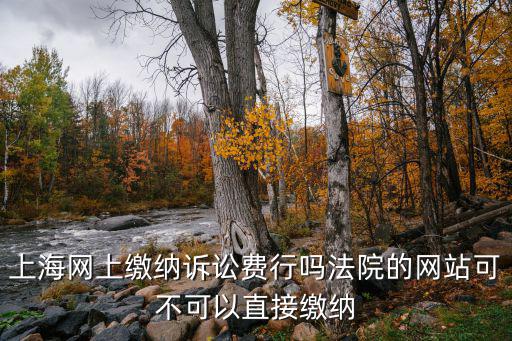 上海網(wǎng)上訴訟服務(wù)平臺(tái)app，上海網(wǎng)上繳納訴訟費(fèi)行嗎法院的網(wǎng)站可不可以直接繳納