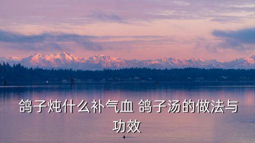  鴿子燉什么補(bǔ)氣血 鴿子湯的做法與功效