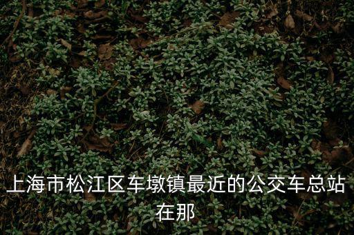 上海市松江區(qū)車墩鎮(zhèn)最近的公交車總站在那