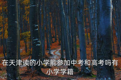 在天津讀的小學能參加中考和高考嗎有小學學籍