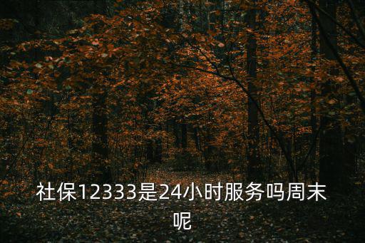 社保12333是24小時服務嗎周末呢