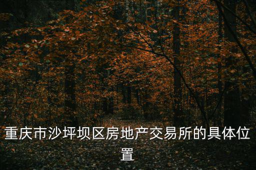 重慶市沙坪壩區(qū)房地產(chǎn)交易所的具體位置