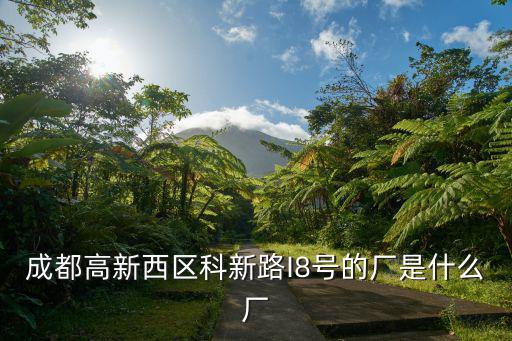 成都高新西區(qū)科新路I8號(hào)的廠是什么廠