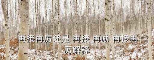  再接再厲還是 再接 再勵 再接再厲解釋